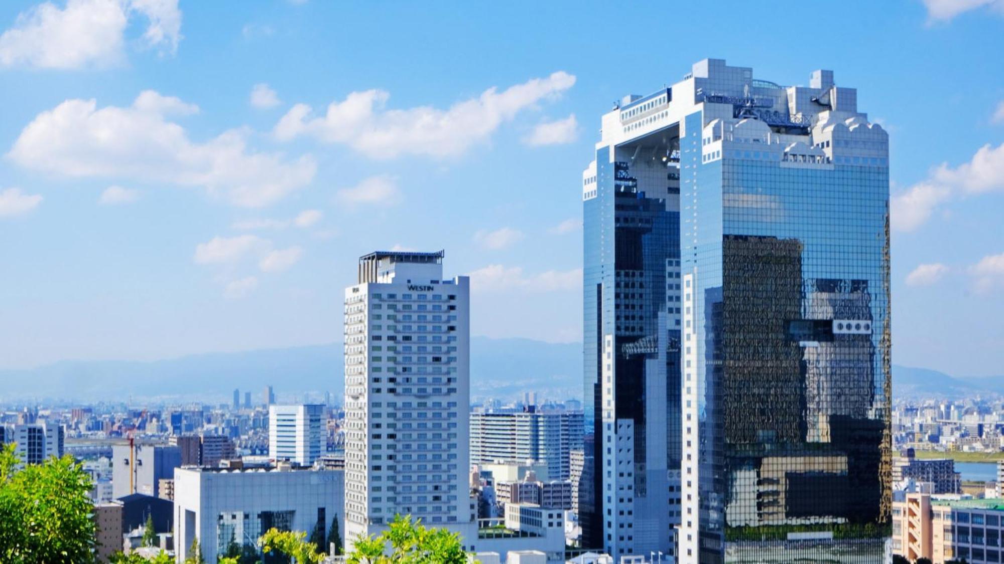 Toyoko Inn Shin-Osaka-Eki Higashi-Guchi Buitenkant foto